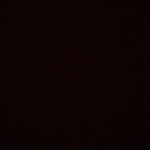 Meet your Posher, Tamara